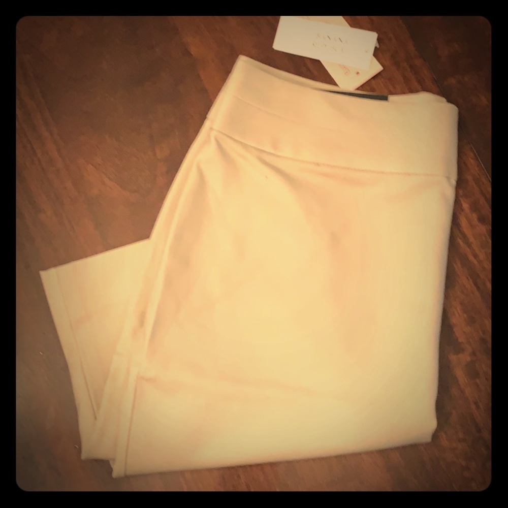 Banana Republic Pencil Skirt